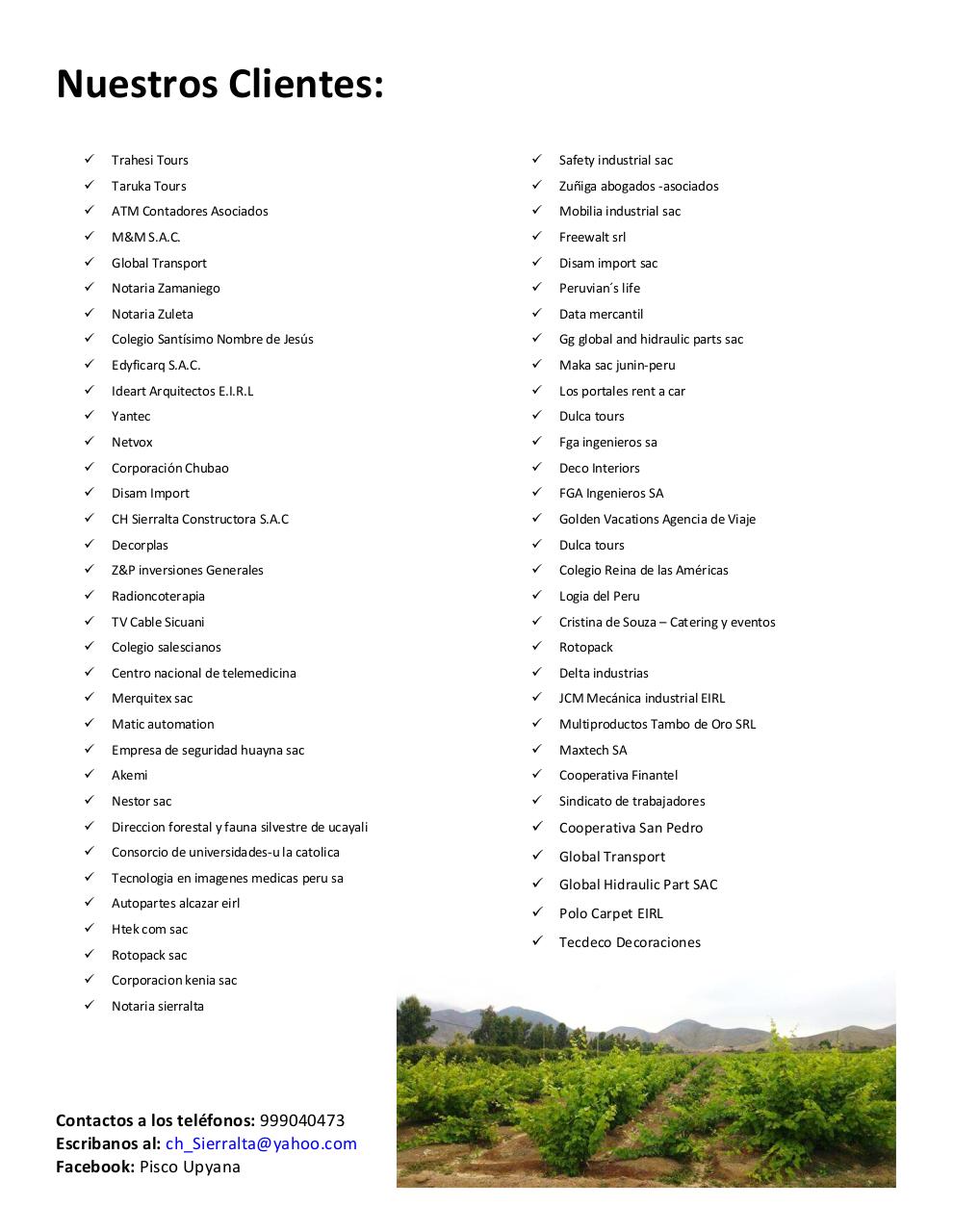 Vista previa del archivo PDF catalogo-piscosvr2.pdf