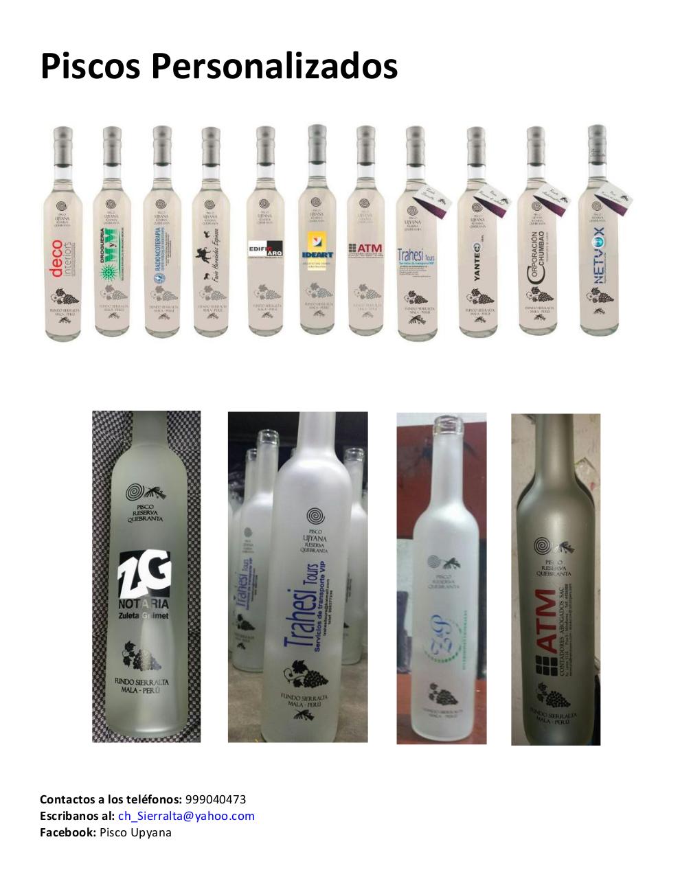 Vista previa del archivo PDF catalogo-piscosvr2.pdf