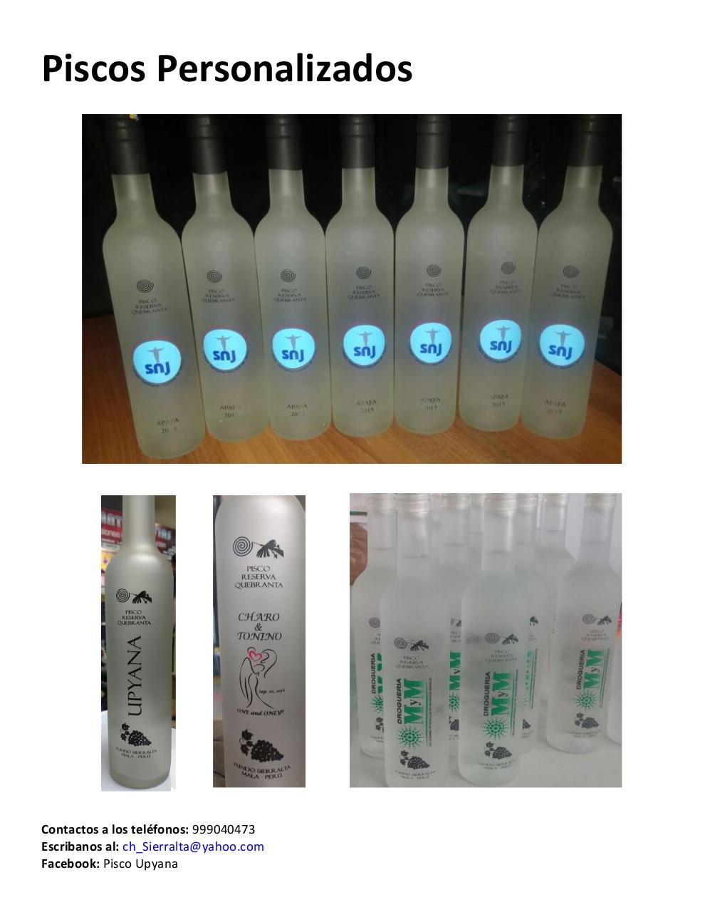 Vista previa del archivo PDF catalogo-piscosvr2.pdf