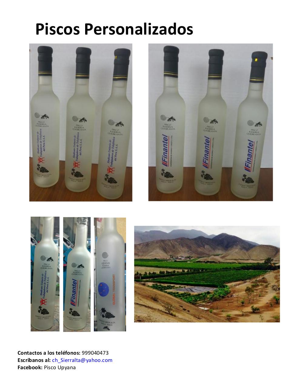 Vista previa del archivo PDF catalogo-piscosvr2.pdf