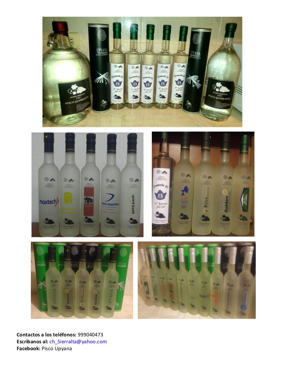 Vista previa del archivo PDF catalogo-piscosvr2.pdf