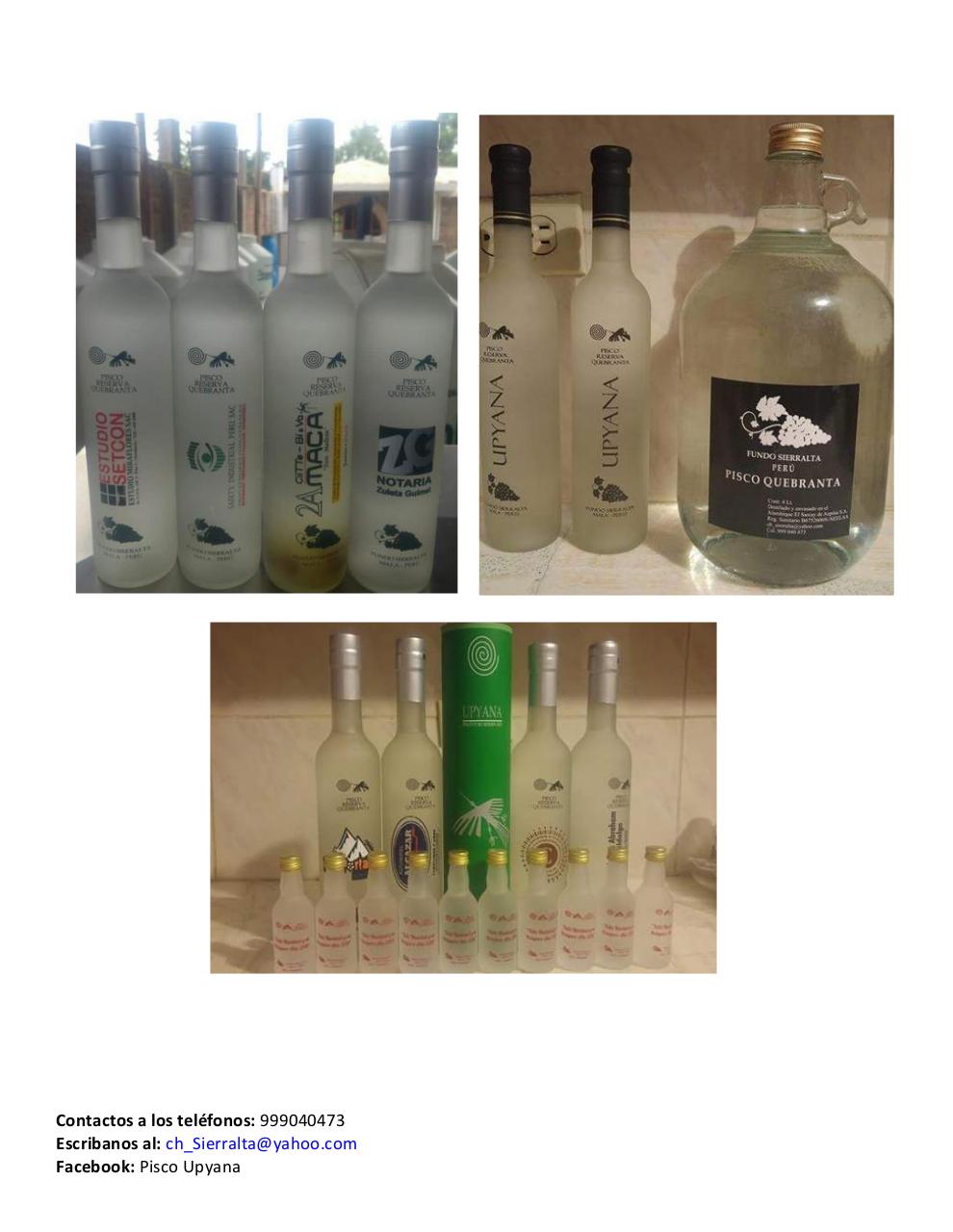 Vista previa del archivo PDF catalogo-piscosvr2.pdf