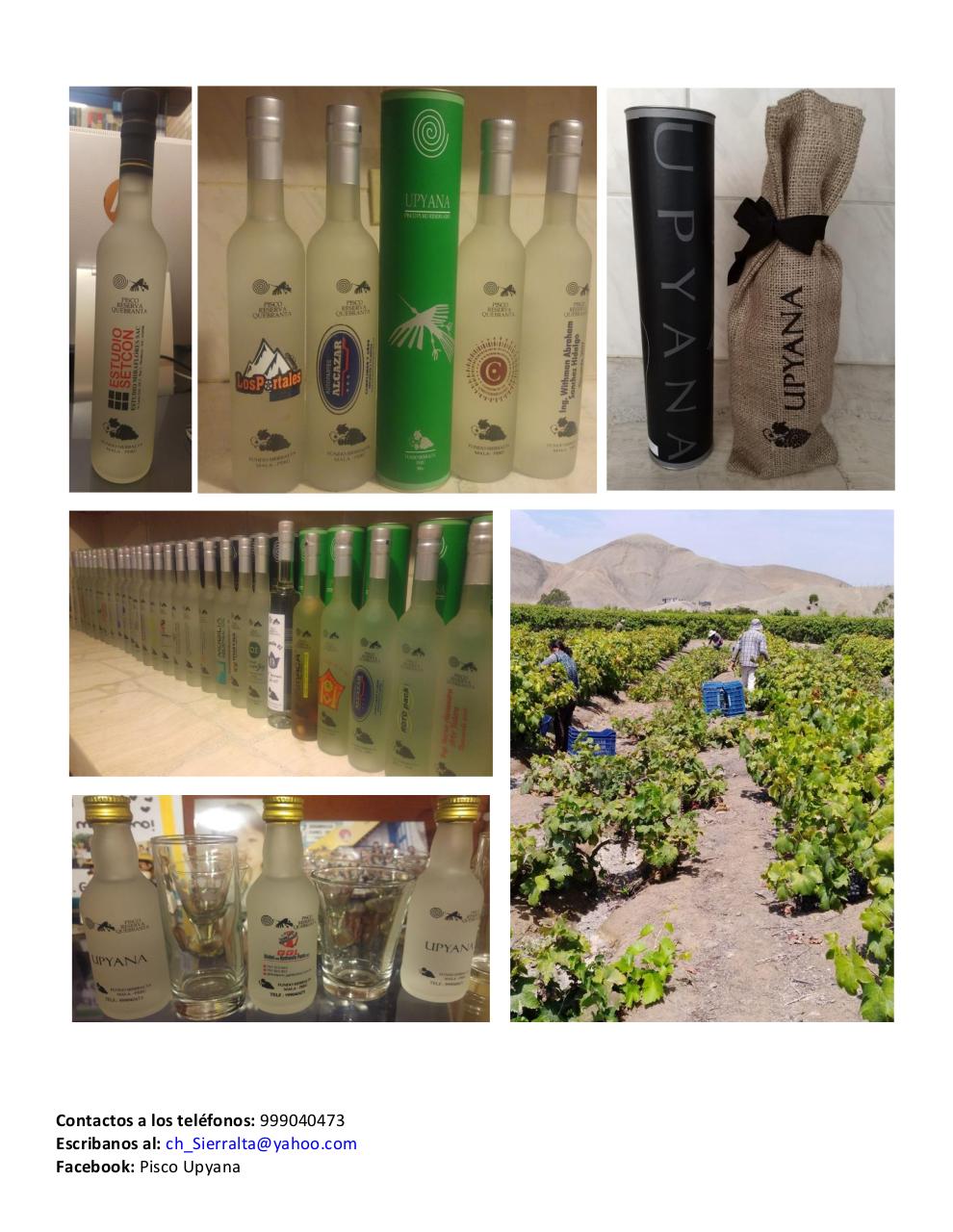 Vista previa del archivo PDF catalogo-piscosvr2.pdf