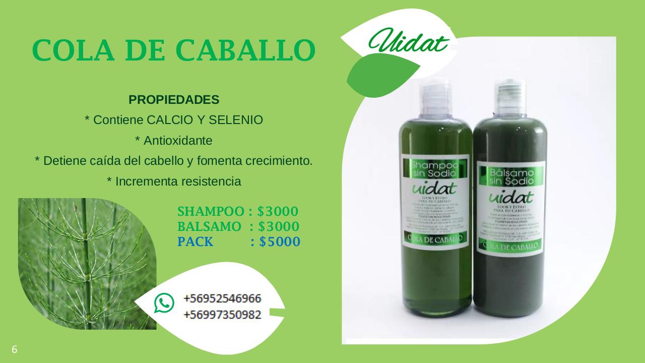 Vista previa del archivo PDF catalogo-aurora-julio.pdf