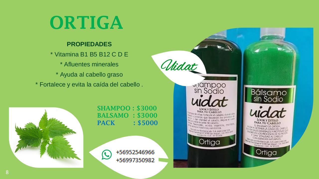 Vista previa del archivo PDF catalogo-aurora-julio.pdf