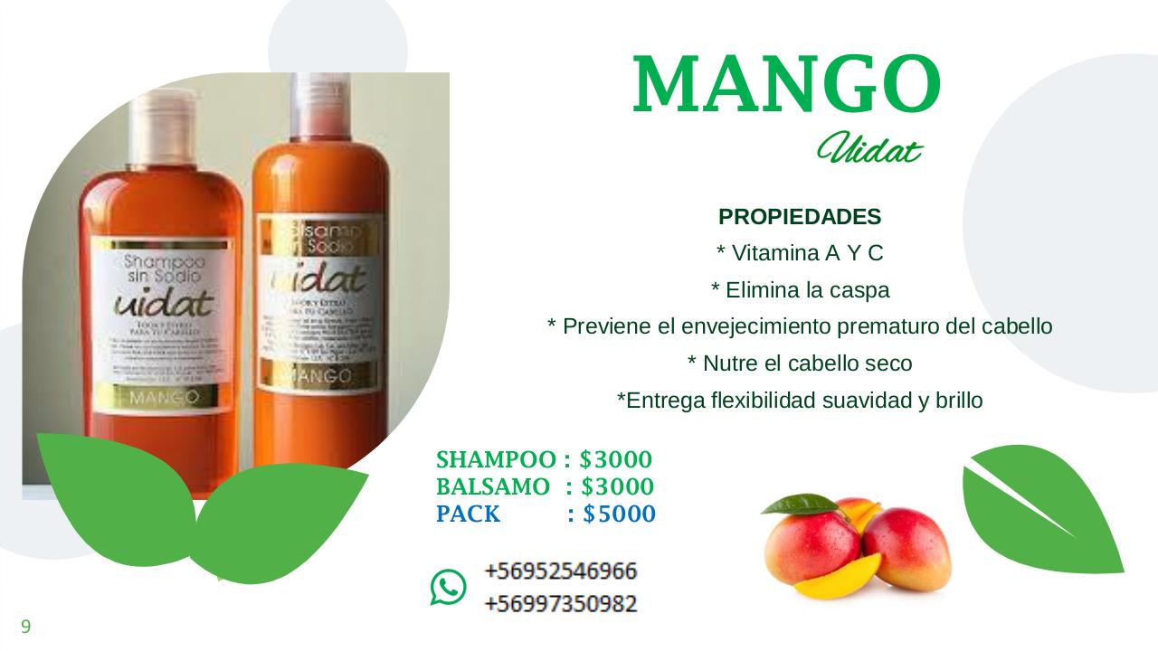 Vista previa del archivo PDF catalogo-aurora-julio.pdf