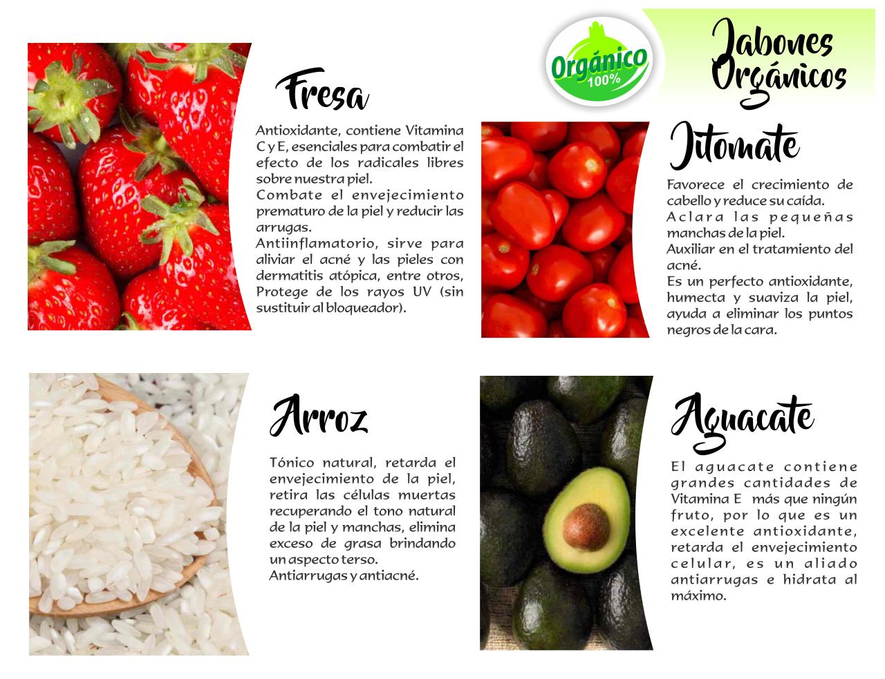 Vista previa del archivo PDF catalogo-tonalli.pdf