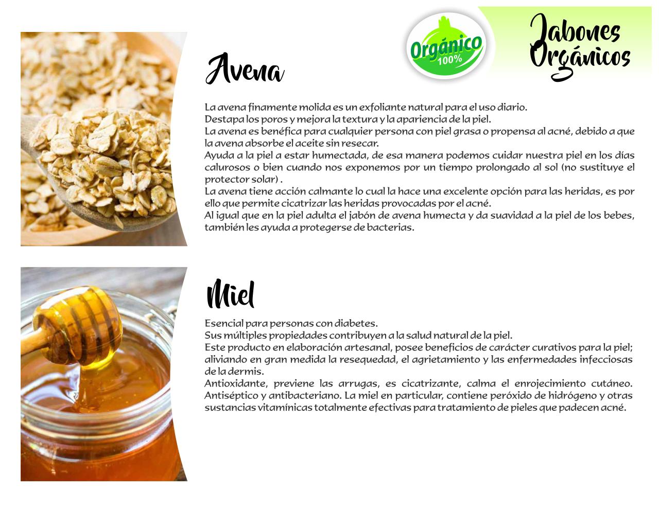 Vista previa del archivo PDF catalogo-tonalli.pdf