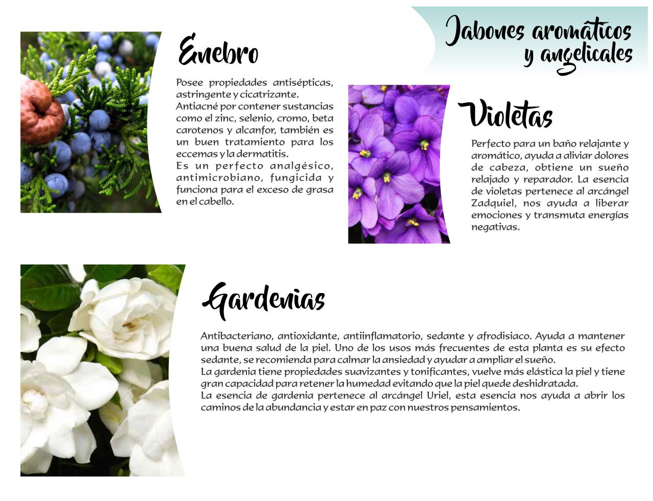 Vista previa del archivo PDF catalogo-tonalli.pdf