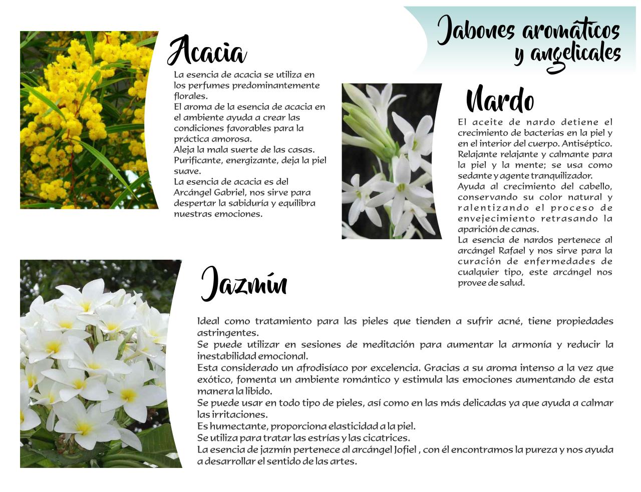 Vista previa del archivo PDF catalogo-tonalli.pdf