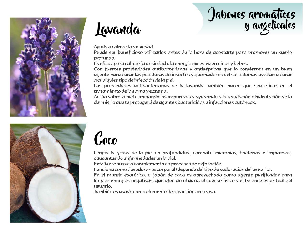 Vista previa del archivo PDF catalogo-tonalli.pdf