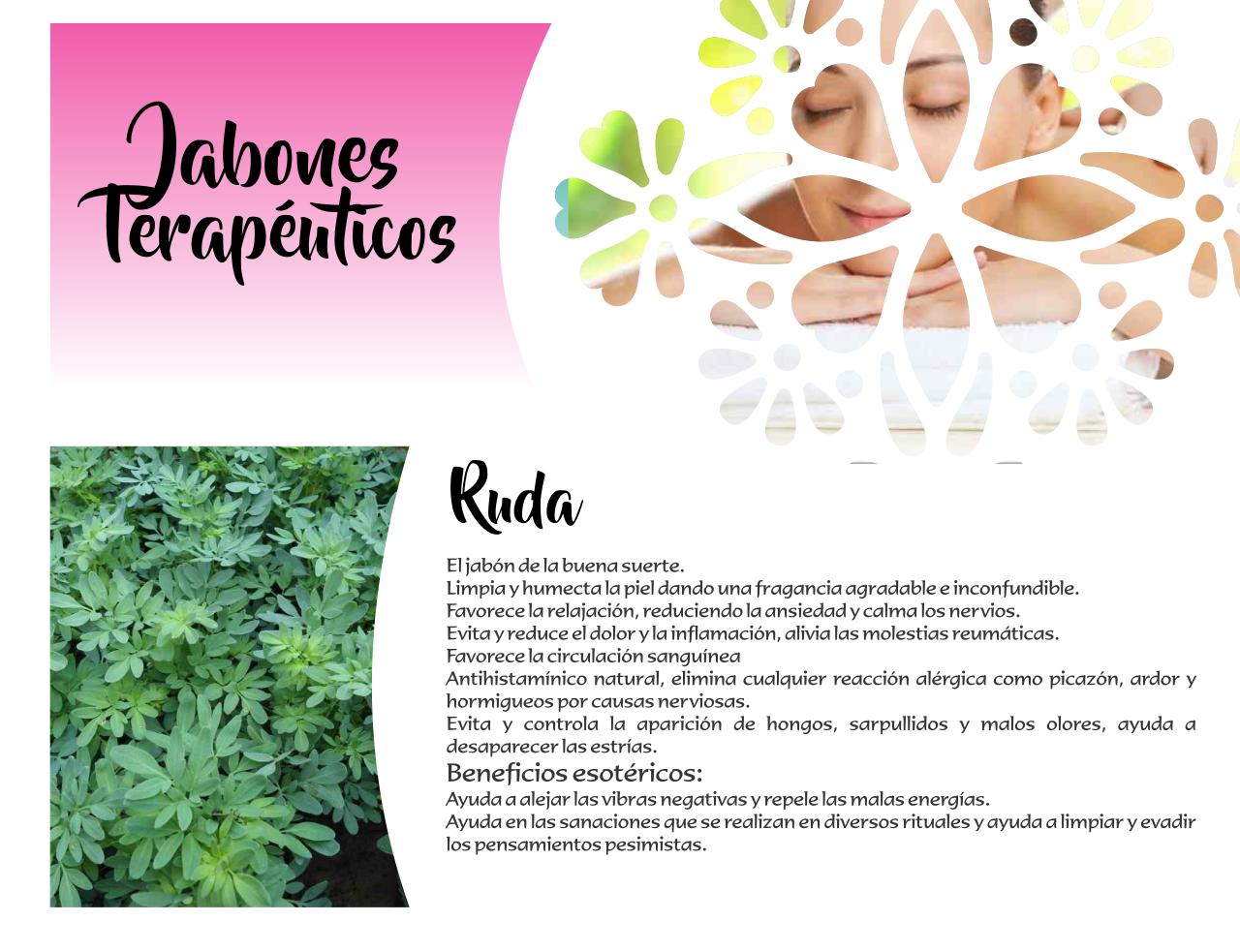 Vista previa del archivo PDF catalogo-tonalli.pdf