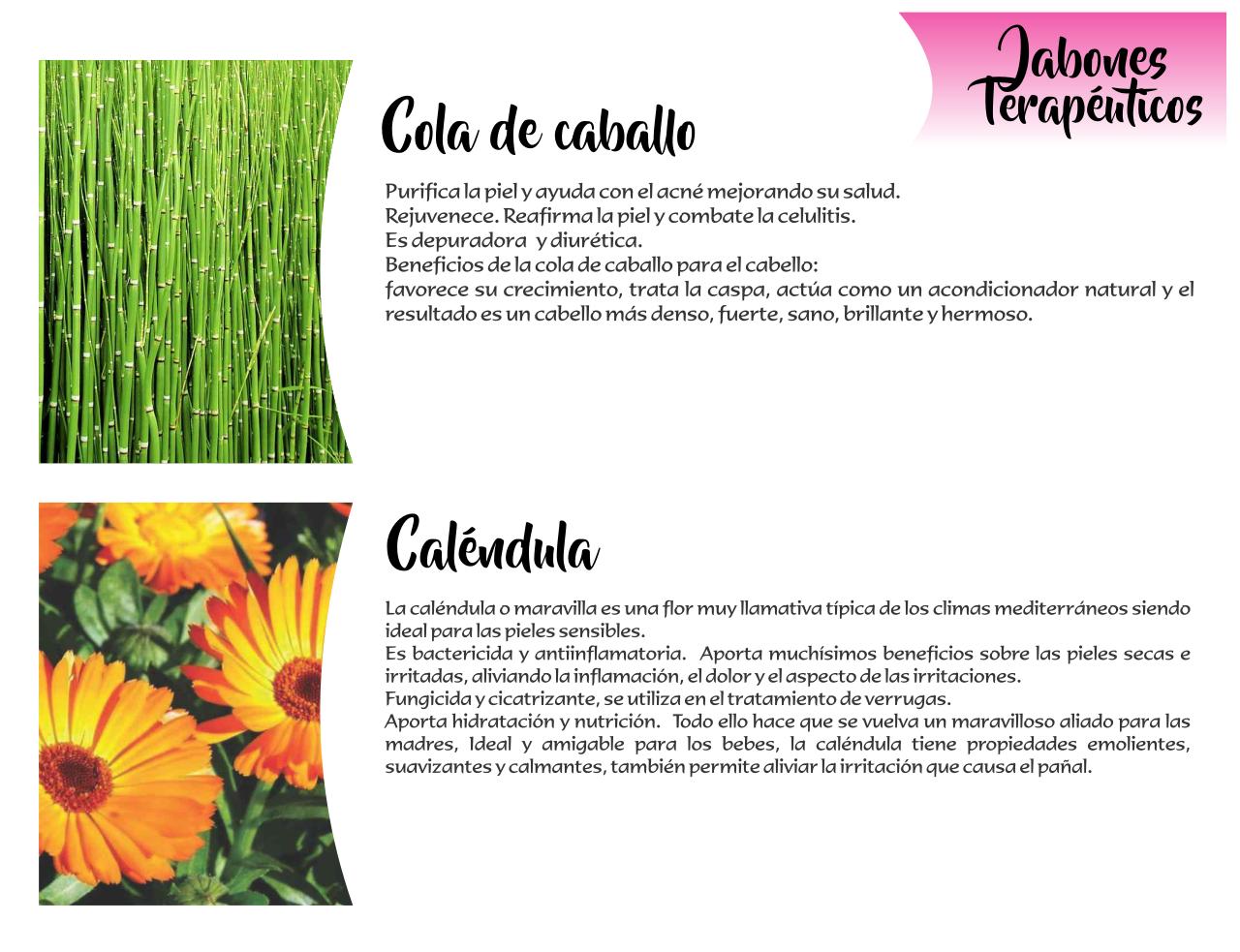 Vista previa del archivo PDF catalogo-tonalli.pdf