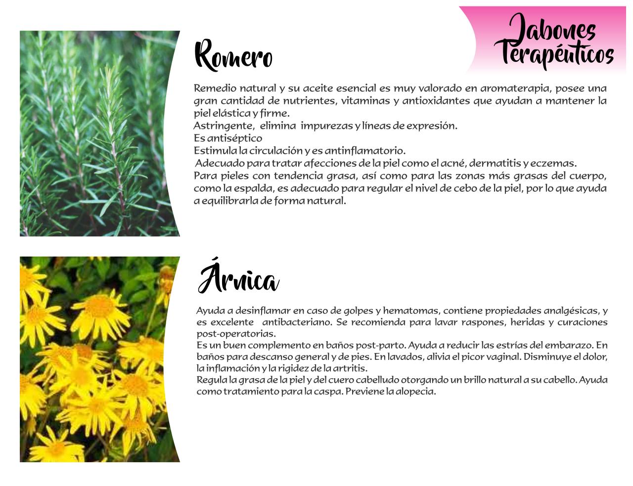 Vista previa del archivo PDF catalogo-tonalli.pdf