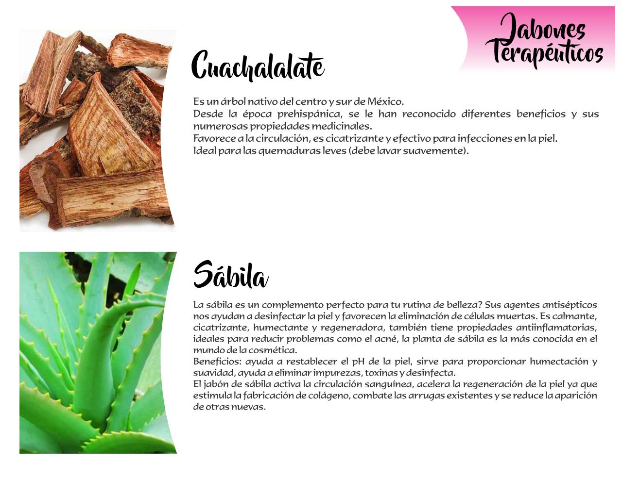 Vista previa del archivo PDF catalogo-tonalli.pdf