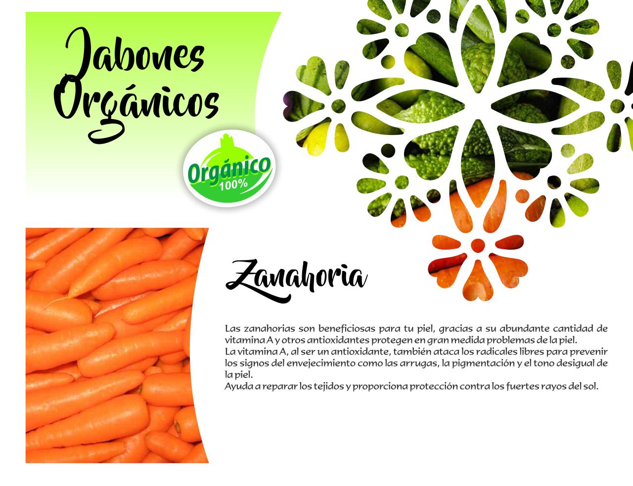 Vista previa del archivo PDF catalogo-tonalli.pdf