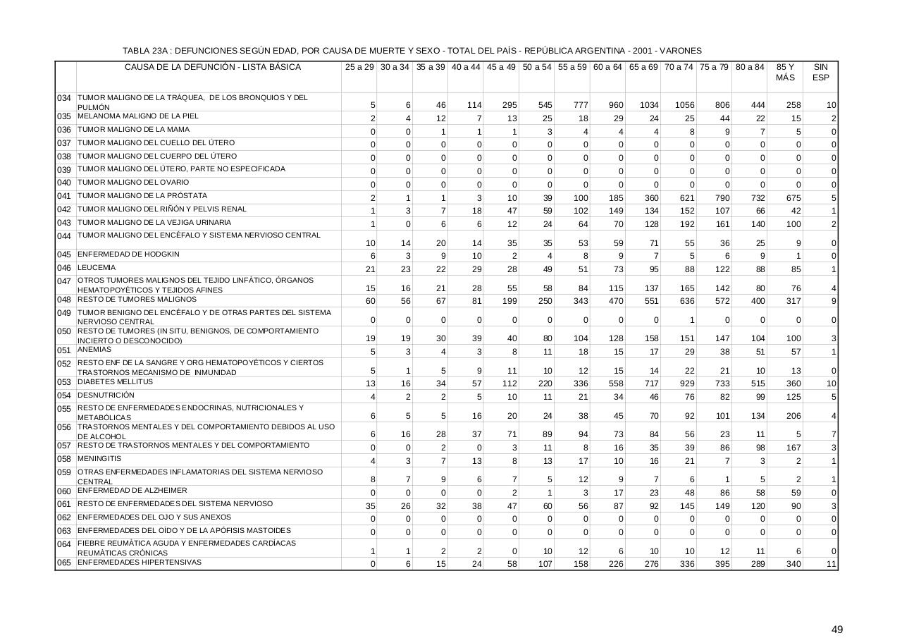 Vista previa del archivo PDF serie5nro45---2001.pdf