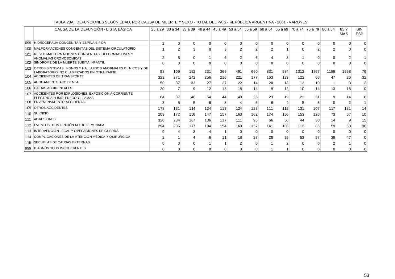 Vista previa del archivo PDF serie5nro45---2001.pdf