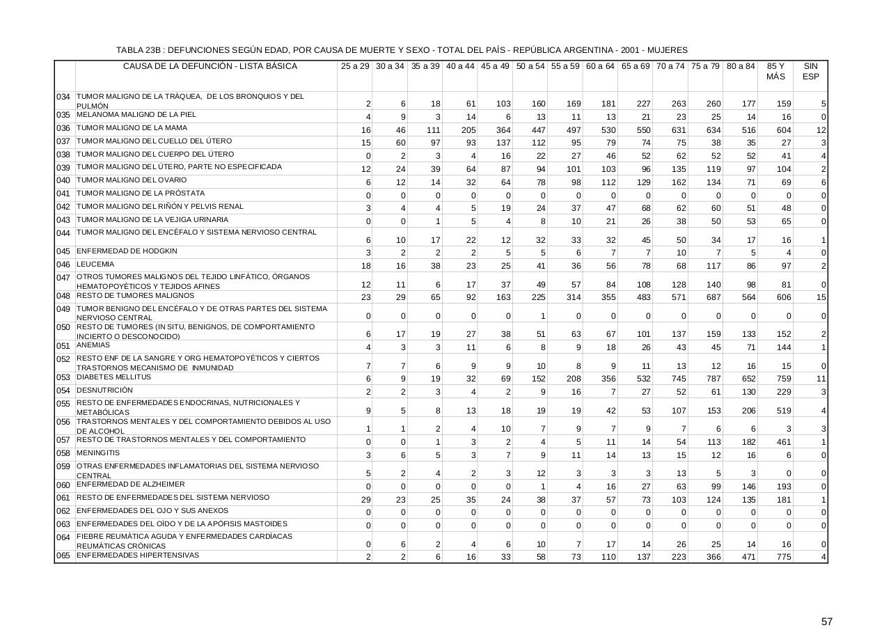 Vista previa del archivo PDF serie5nro45---2001.pdf