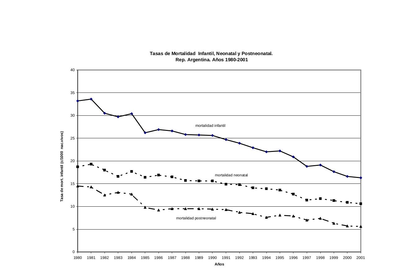 Vista previa del archivo PDF serie5nro45---2001.pdf