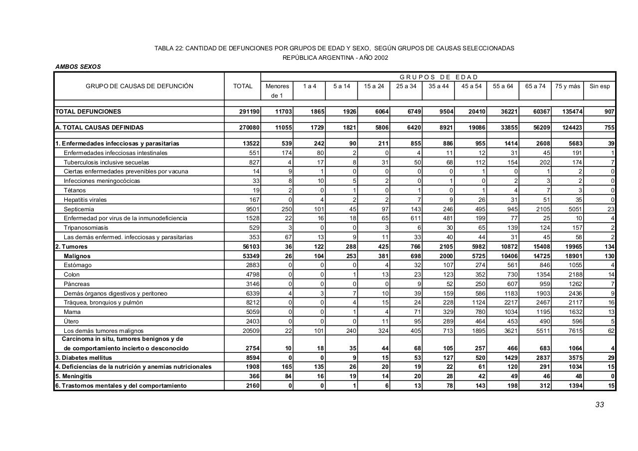 Vista previa del archivo PDF serie5nro46---2002.pdf