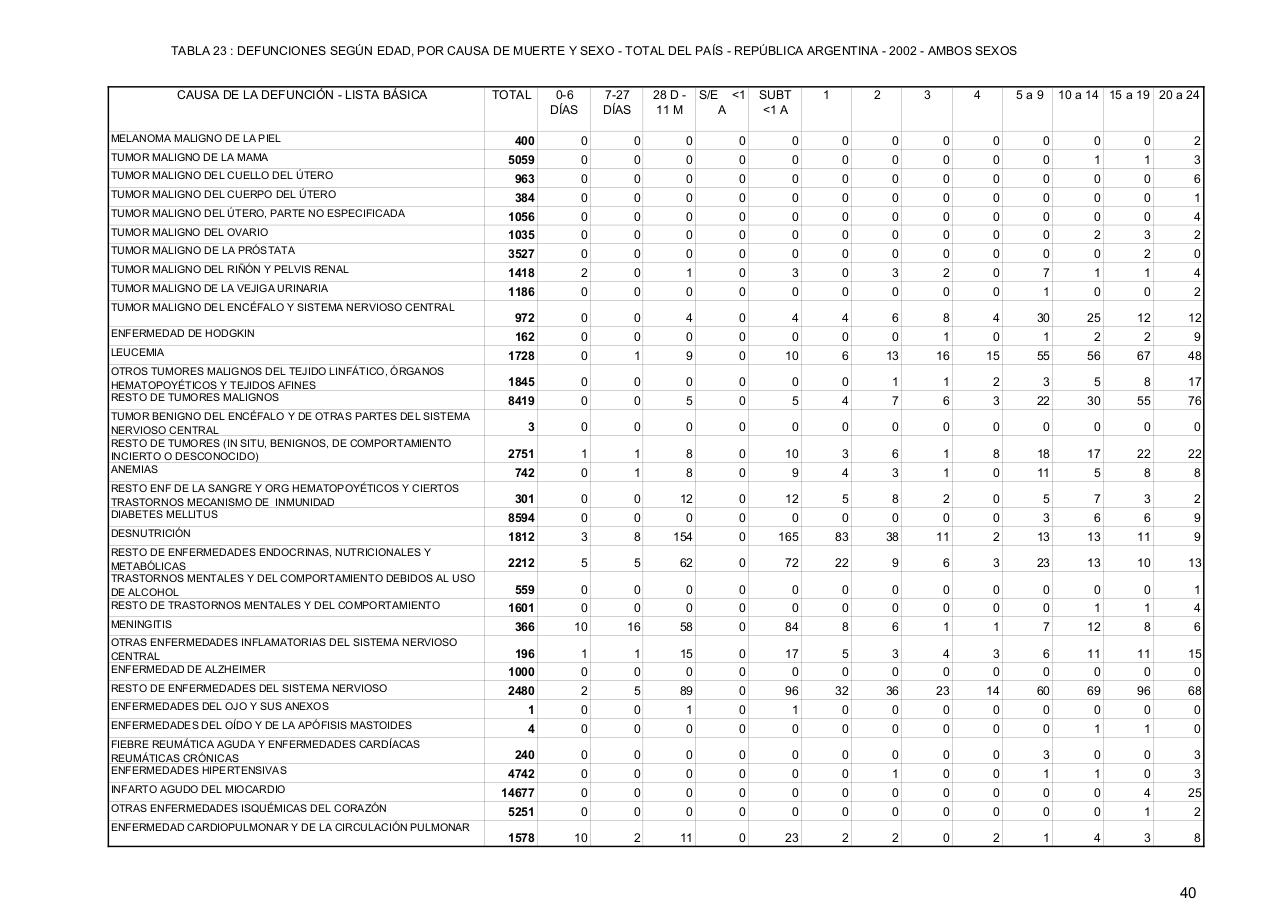 Vista previa del archivo PDF serie5nro46---2002.pdf