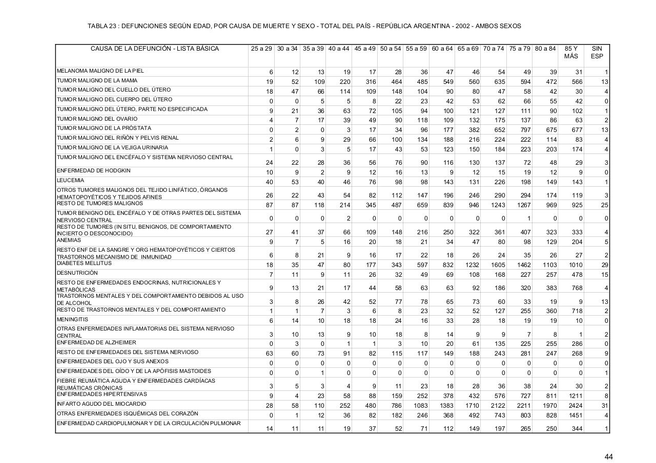 Vista previa del archivo PDF serie5nro46---2002.pdf
