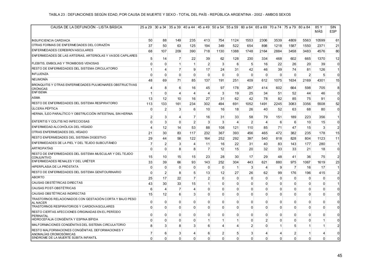 Vista previa del archivo PDF serie5nro46---2002.pdf