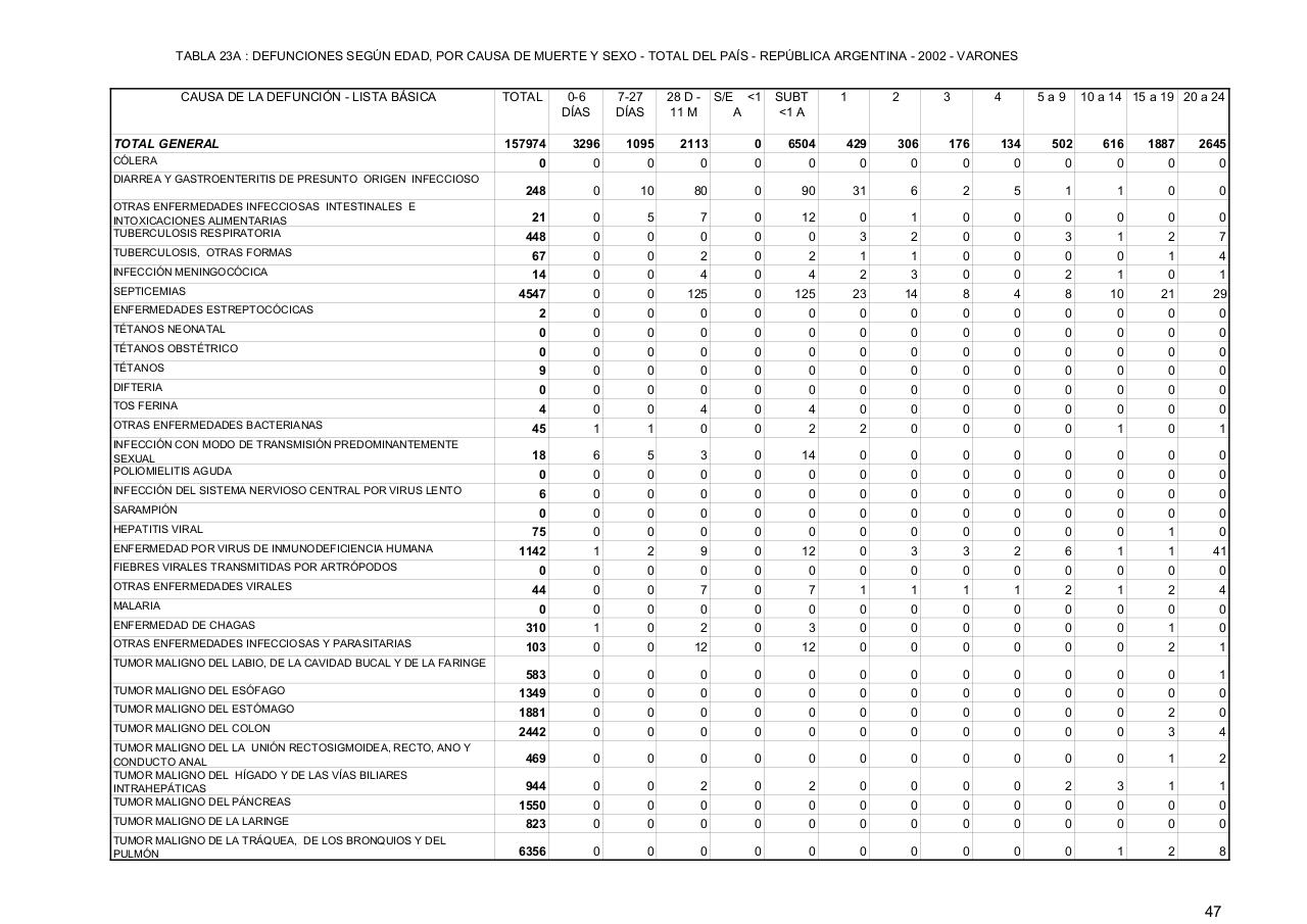 Vista previa del archivo PDF serie5nro46---2002.pdf