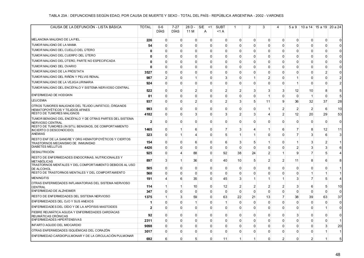 Vista previa del archivo PDF serie5nro46---2002.pdf