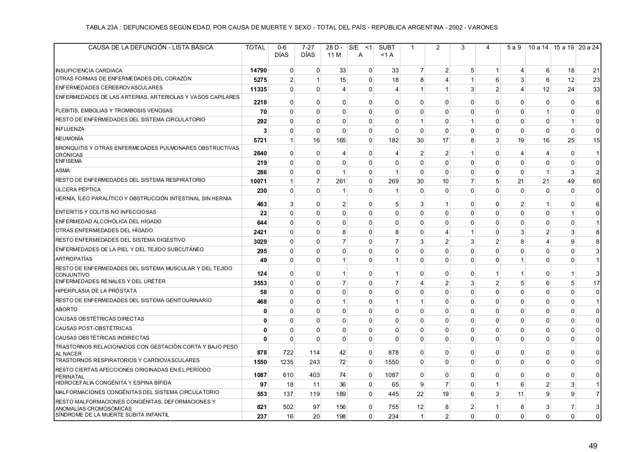 Vista previa del archivo PDF serie5nro46---2002.pdf