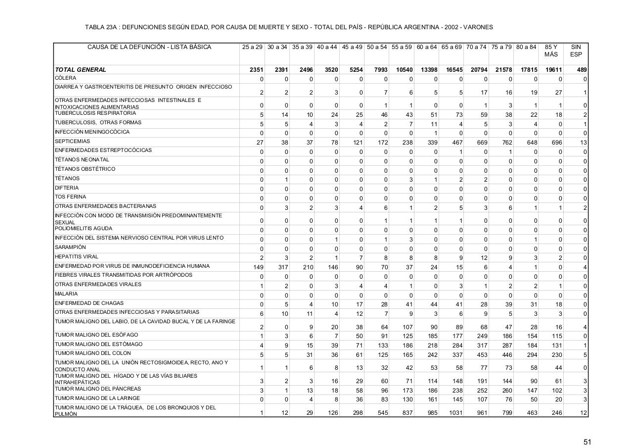 Vista previa del archivo PDF serie5nro46---2002.pdf