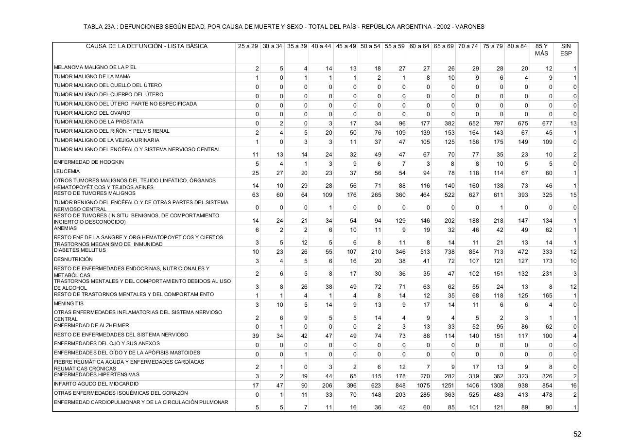 Vista previa del archivo PDF serie5nro46---2002.pdf