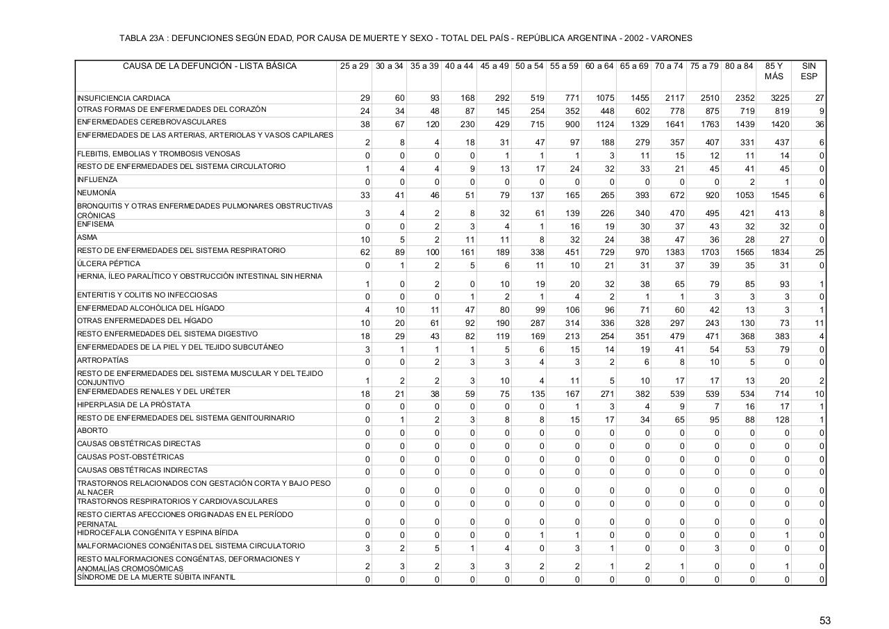 Vista previa del archivo PDF serie5nro46---2002.pdf