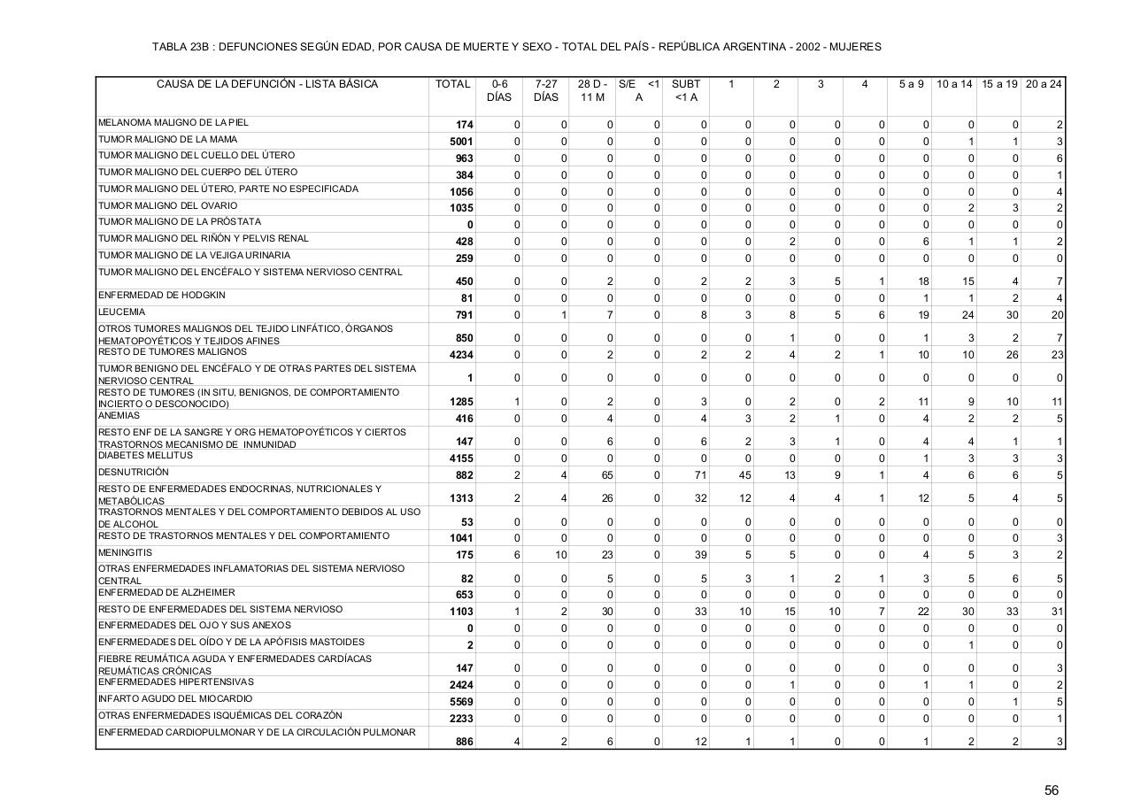 Vista previa del archivo PDF serie5nro46---2002.pdf