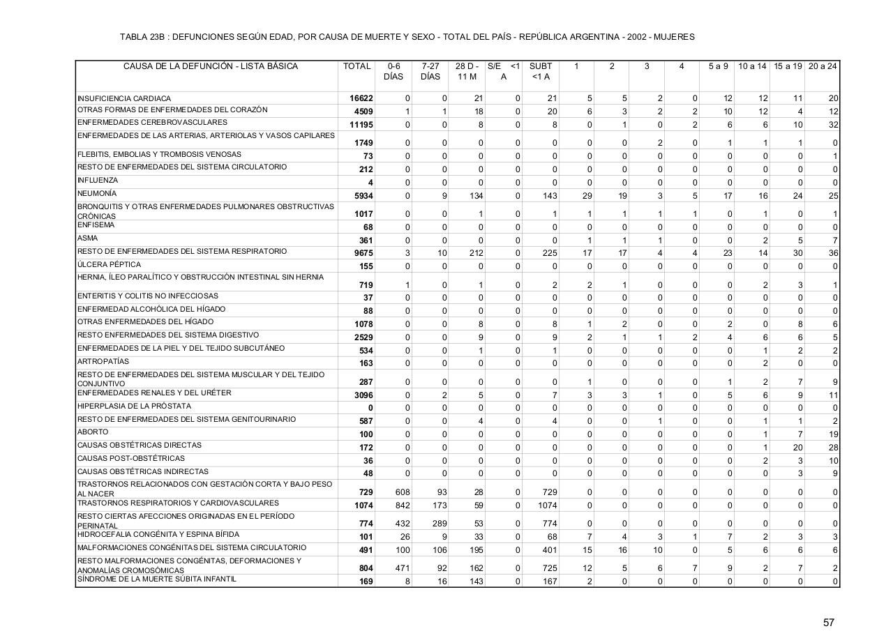 Vista previa del archivo PDF serie5nro46---2002.pdf
