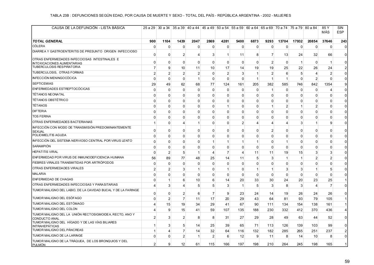 Vista previa del archivo PDF serie5nro46---2002.pdf