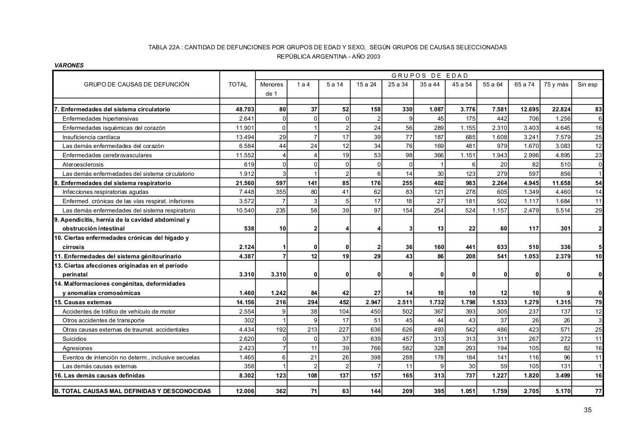 Vista previa del archivo PDF serie5nro47---2003.pdf