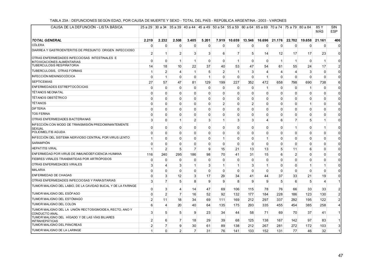 Vista previa del archivo PDF serie5nro47---2003.pdf