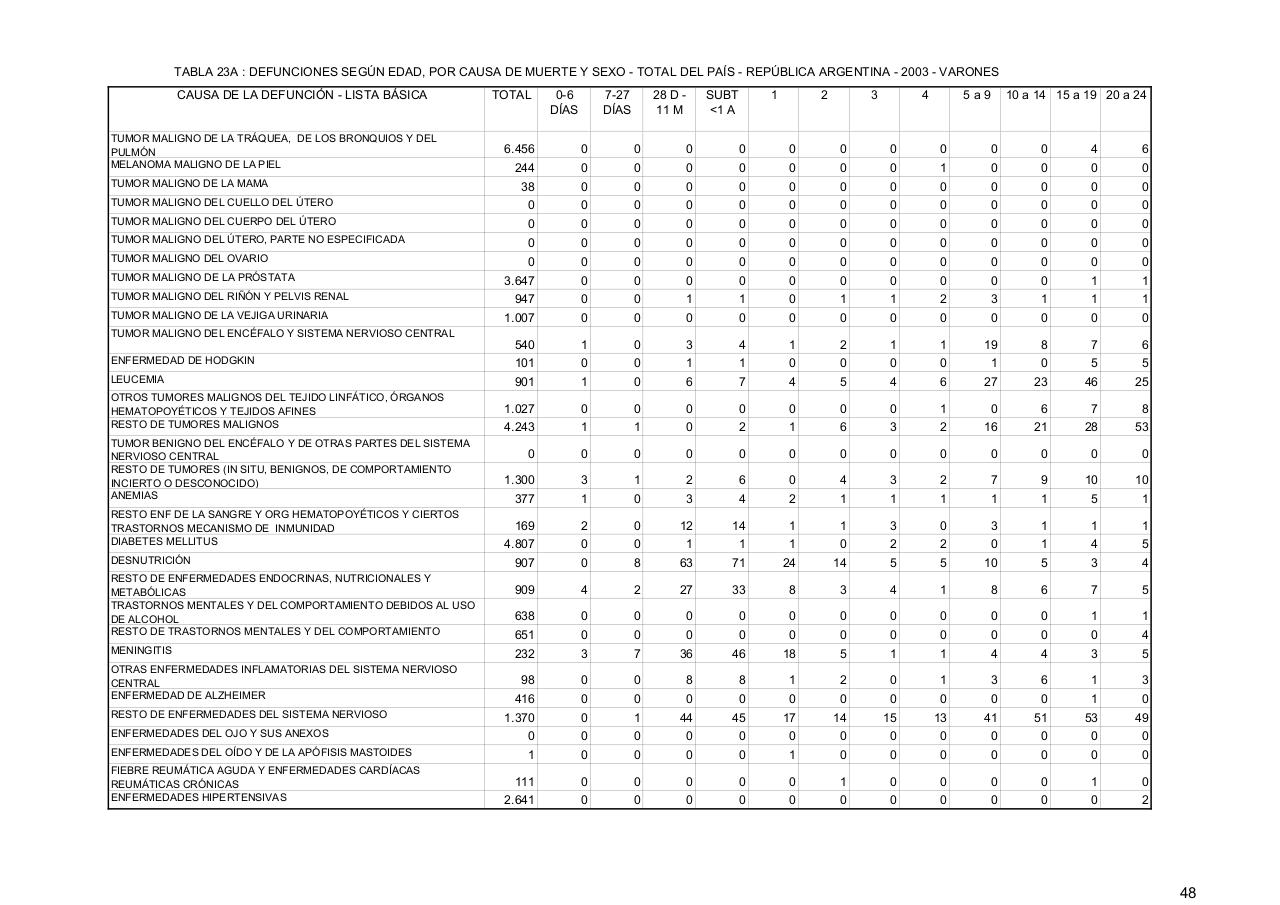 Vista previa del archivo PDF serie5nro47---2003.pdf
