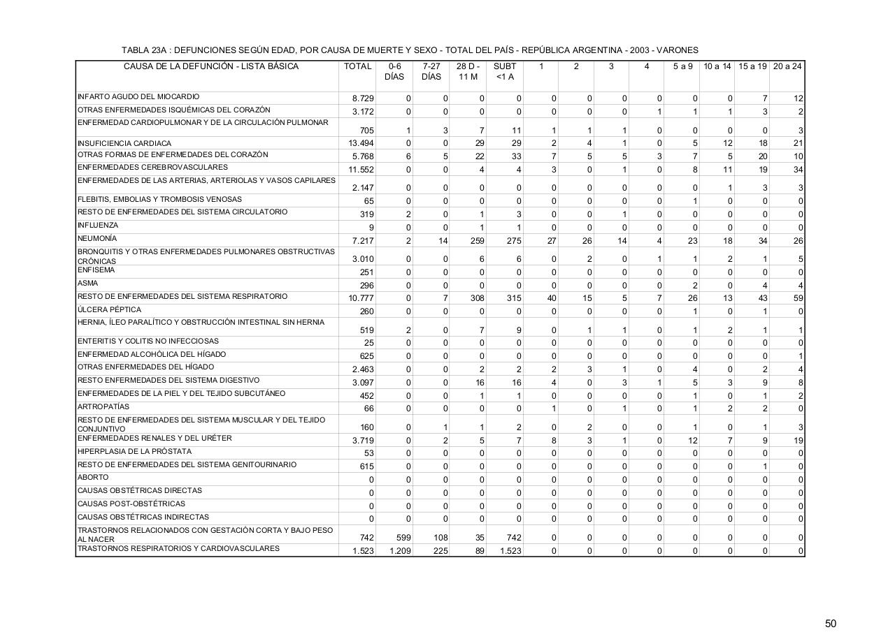 Vista previa del archivo PDF serie5nro47---2003.pdf