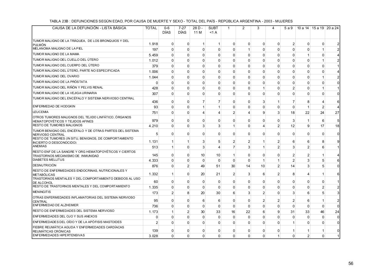 Vista previa del archivo PDF serie5nro47---2003.pdf