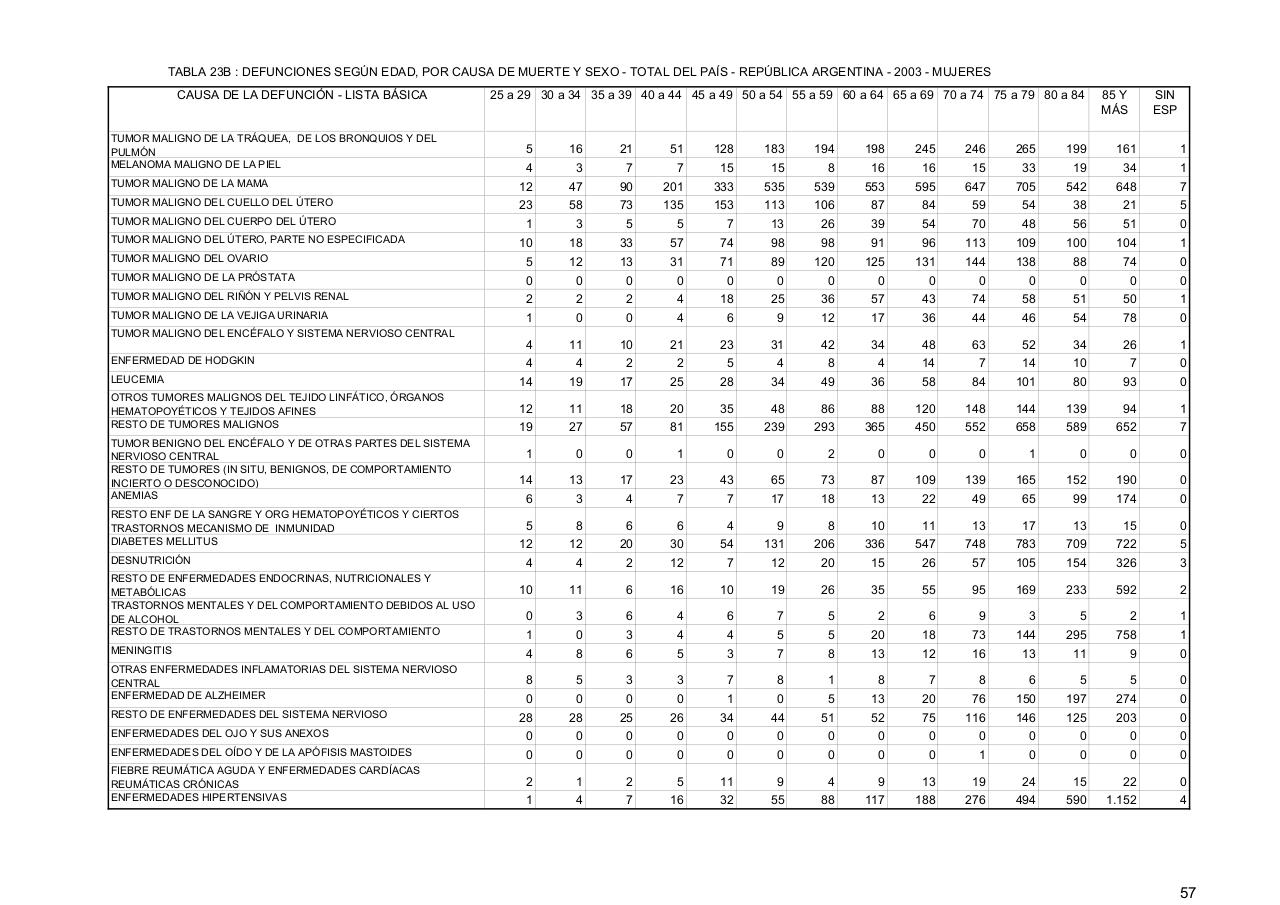 Vista previa del archivo PDF serie5nro47---2003.pdf