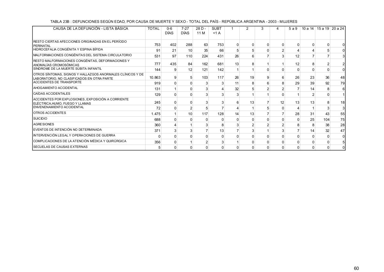 Vista previa del archivo PDF serie5nro47---2003.pdf