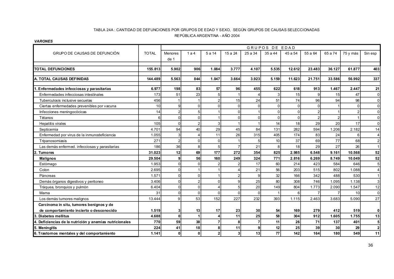 Vista previa del archivo PDF serie5nro48---2004.pdf