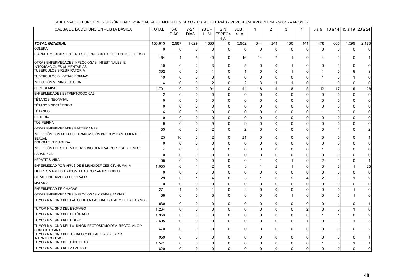 Vista previa del archivo PDF serie5nro48---2004.pdf