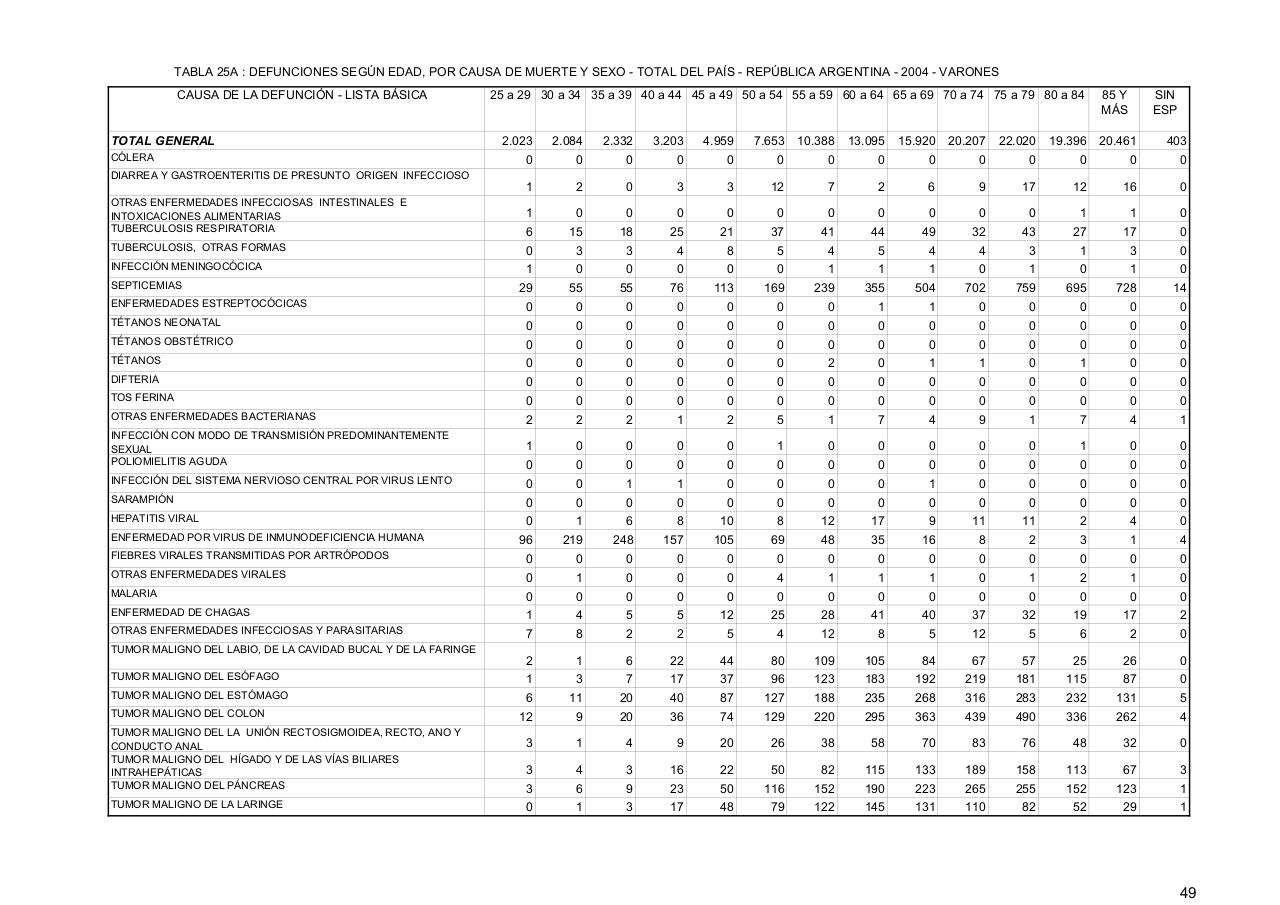 Vista previa del archivo PDF serie5nro48---2004.pdf