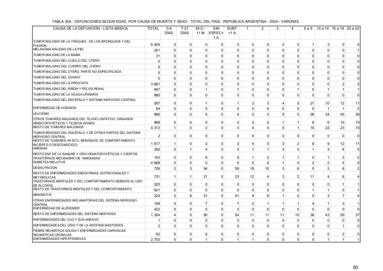 Vista previa del archivo PDF serie5nro48---2004.pdf