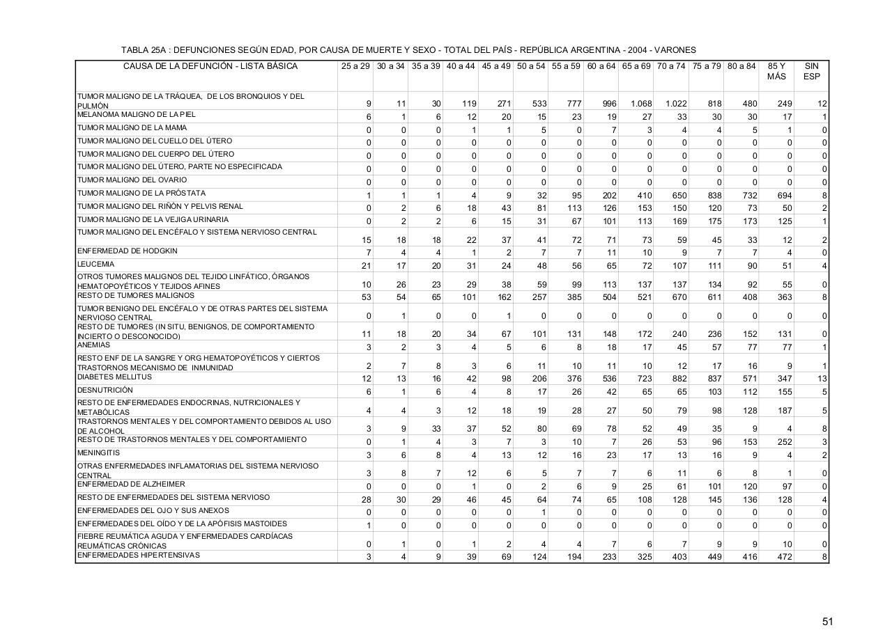 Vista previa del archivo PDF serie5nro48---2004.pdf