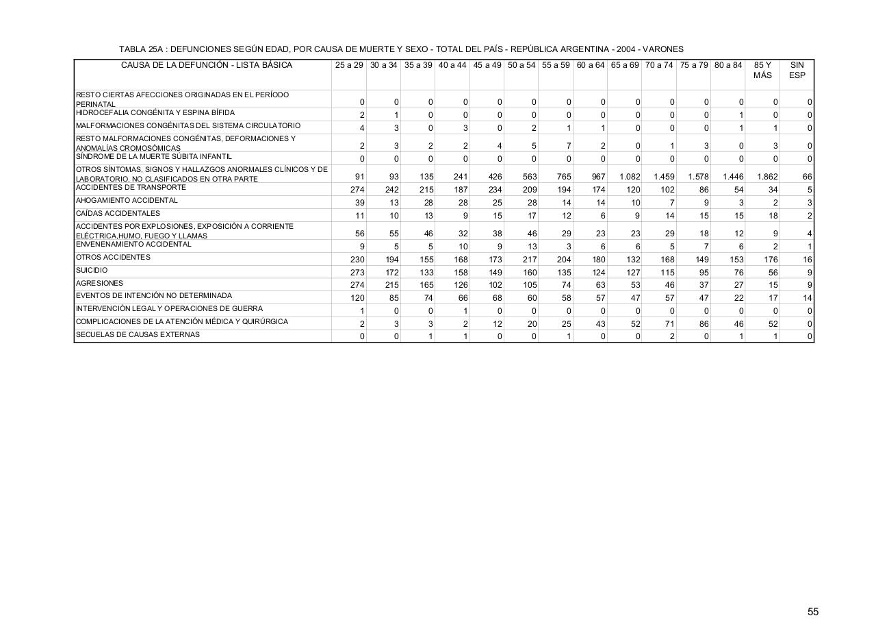 Vista previa del archivo PDF serie5nro48---2004.pdf